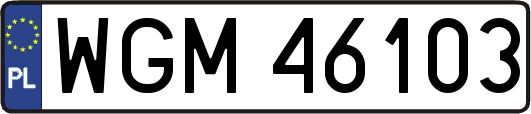 WGM46103