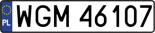 WGM46107