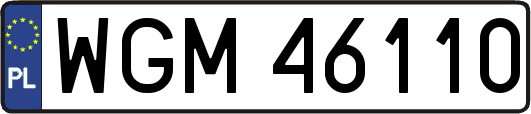 WGM46110