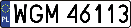 WGM46113