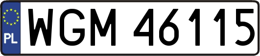 WGM46115