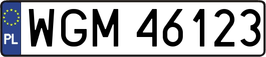 WGM46123