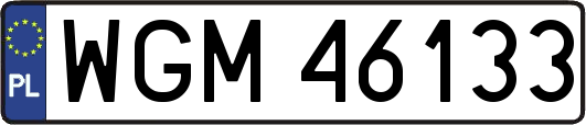 WGM46133