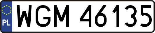 WGM46135