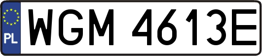 WGM4613E