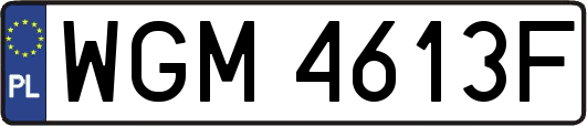 WGM4613F