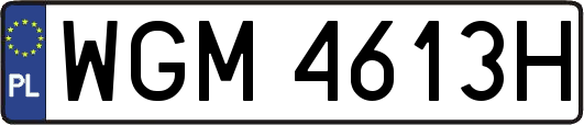 WGM4613H