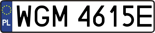 WGM4615E
