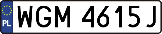 WGM4615J