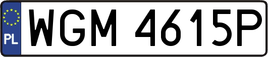 WGM4615P