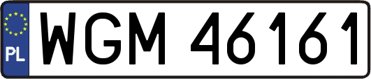 WGM46161