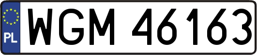 WGM46163