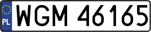 WGM46165