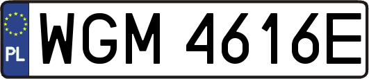WGM4616E