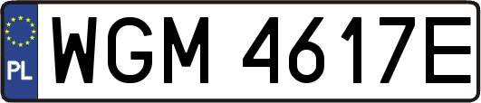 WGM4617E