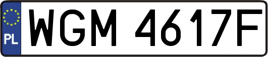 WGM4617F