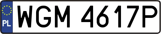 WGM4617P