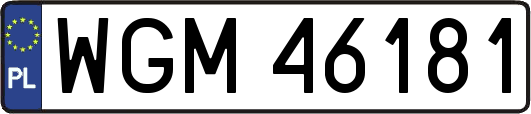 WGM46181