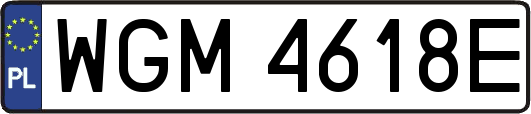 WGM4618E