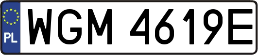 WGM4619E