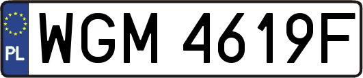 WGM4619F