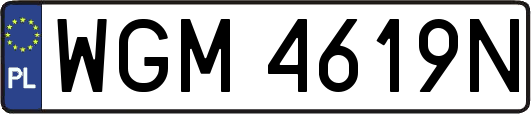 WGM4619N