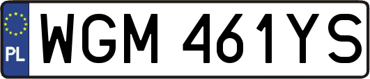 WGM461YS