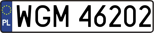 WGM46202