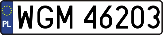 WGM46203