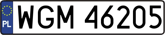 WGM46205