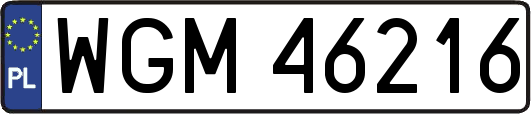 WGM46216