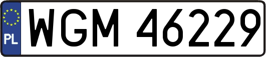 WGM46229
