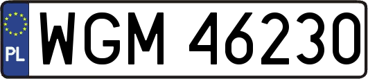 WGM46230