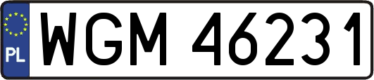 WGM46231