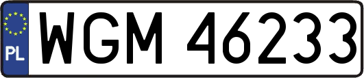 WGM46233