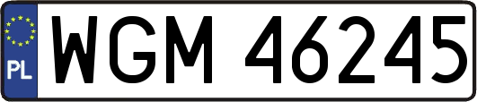 WGM46245