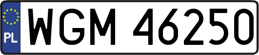 WGM46250