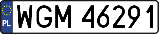 WGM46291