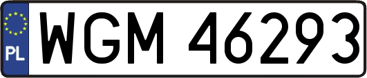 WGM46293
