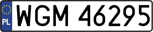 WGM46295