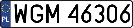 WGM46306