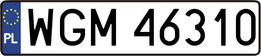 WGM46310