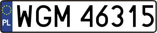 WGM46315