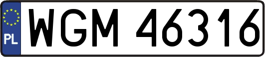 WGM46316