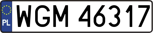 WGM46317