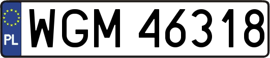 WGM46318