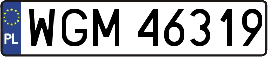 WGM46319