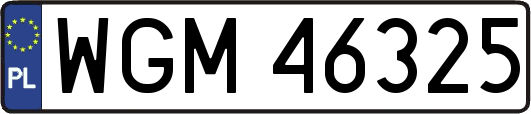 WGM46325