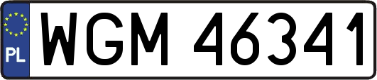 WGM46341