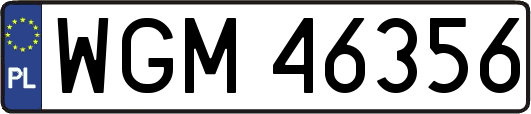 WGM46356